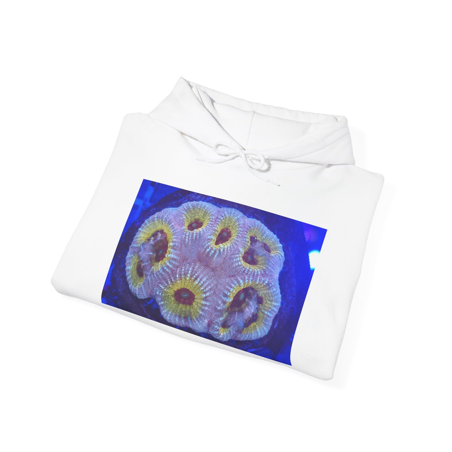 Coral Reef Hoodie —Aqua-Lon Coral Graphic Sweatshirt