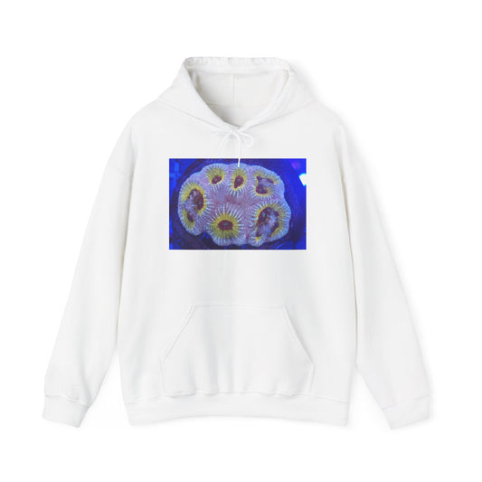 Coral Reef Hoodie —Aqua-Lon Coral Graphic Sweatshirt