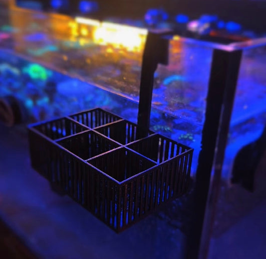 Mushroom Coral Basket