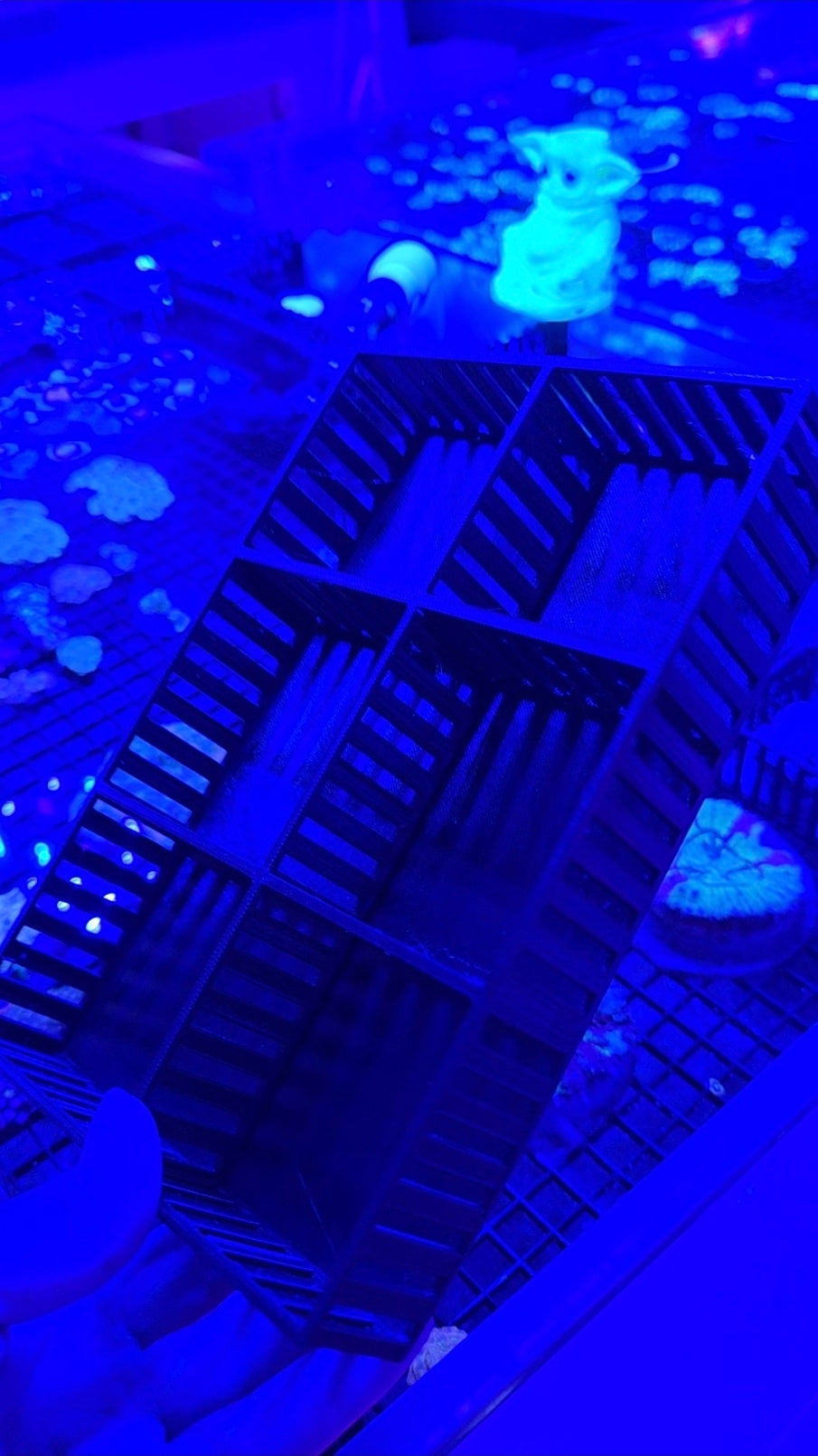 Mushroom Coral Basket