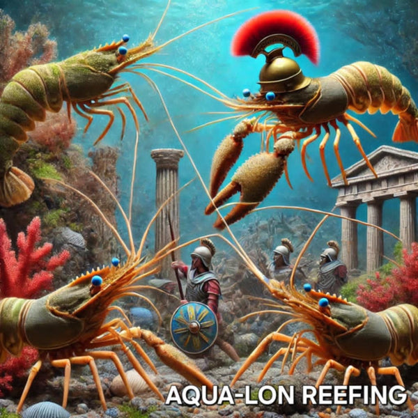 Aqua-Lon Reefing 
